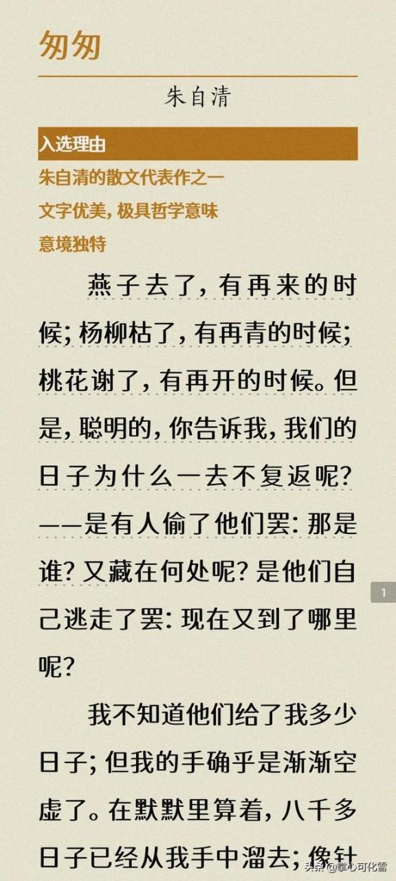 匆匆读书笔记好词好句（匆匆读书笔记100字）