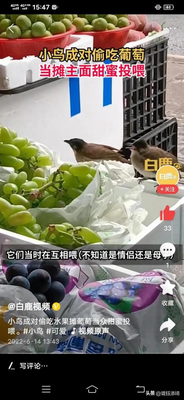 两个鸟的包是什么牌子，两个鸟的包包品牌！