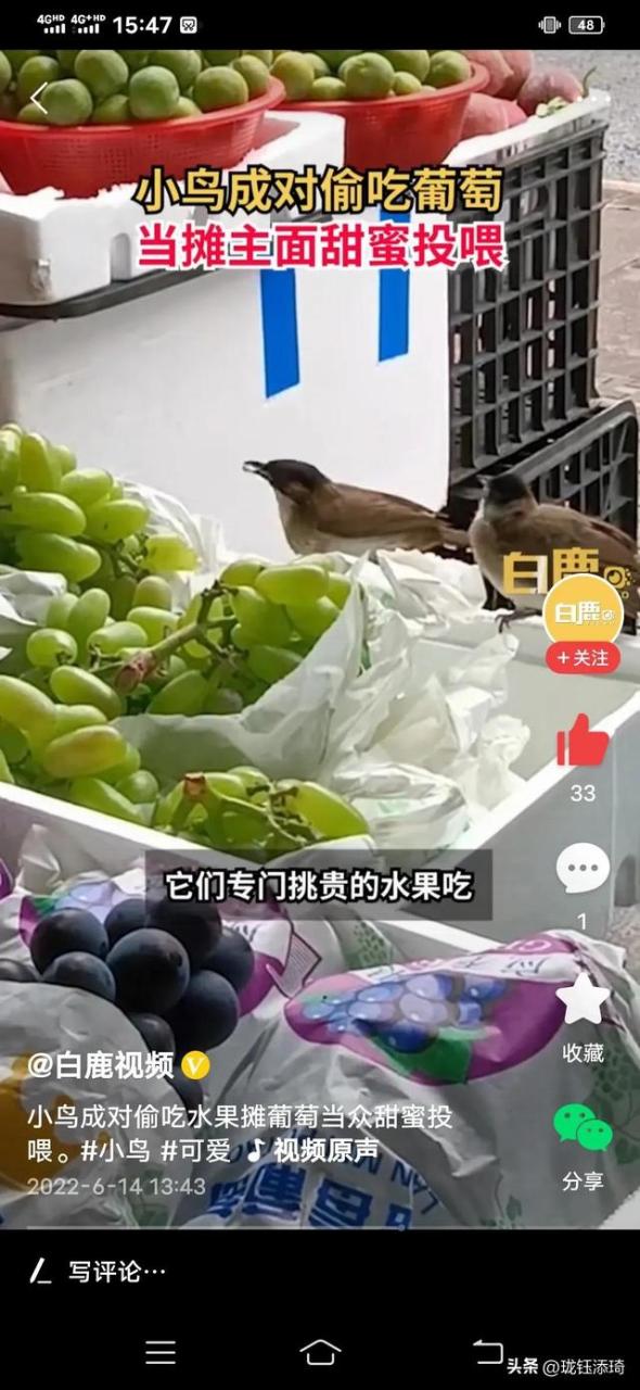 两个鸟的包是什么牌子，两个鸟的包包品牌！