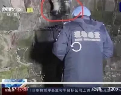 不管相信不相信的成语，不管相信不相信歌词